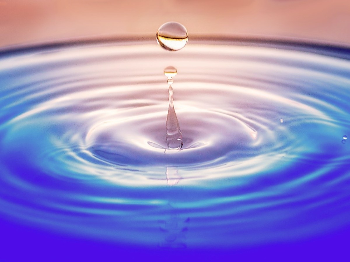 To the person that neglects to remember that “STUNT-STUNTIN IS A&nbsp;HABBIT”….